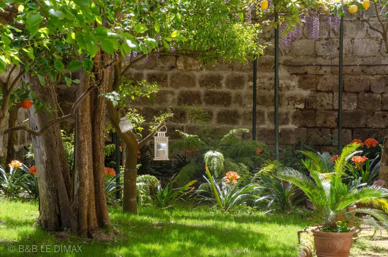Le Dimax Bed & Breakfast Sant'Agnello Exterior foto